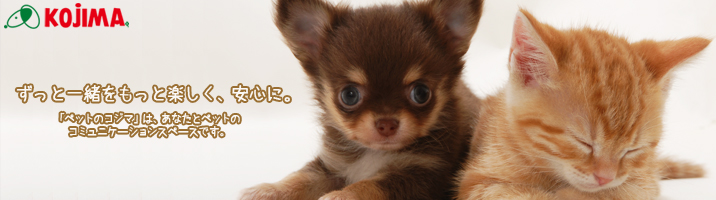 株式会社コジマのヘッダー画像