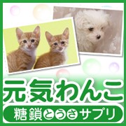【元気わんこ】獣医も使用！チャンピオン犬も愛飲！愛犬のための安心糖鎖サプリの口コミ（クチコミ）情報の商品写真