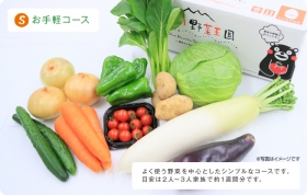 「安心・安全な新鮮野菜10品目（株式会社九州フードサービス）」の商品画像