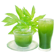 健康ドリンク★あしたば青汁★食物繊維で野菜不足を解消！　お試し５本パックの商品画像