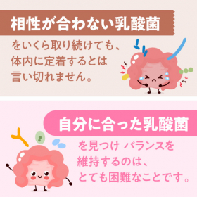 「乳酸菌生成エキスL-16（株式会社エクセレントメディカル）」の商品画像の3枚目