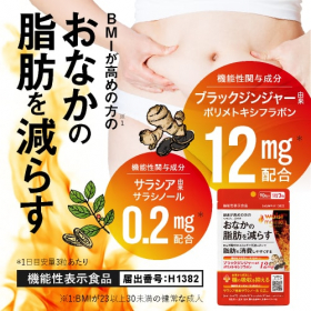 ウエストメンテ（90粒入り）の商品画像