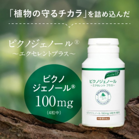 ピクノジェノール　120粒の商品画像