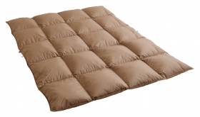 FT-958 光電子 ダウンデュベの口コミ（クチコミ）情報の商品写真