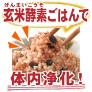 「お家で育てるデトックス（毒出し）酵素ご飯！【マイセン流玄米酵素ご飯4合セット】（株式会社マイセン）」の商品画像
