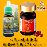 「甲陽ケミカルの赤箱 活性型コエンザイムQ10/アピスブラジルプロポリス　30ｍｌ（そのまんま通販）」の商品画像