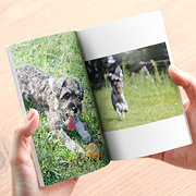 フォトブック・フォトアルバムのTOLOTの商品画像