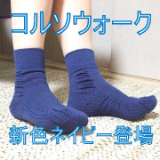 「コルソウォーク　ネイビー（有限会社アスカシステム）」の商品画像