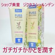 ジクタス　シュルンデンの口コミ（クチコミ）情報の商品写真