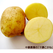 北海道のじゃがいも「十勝こがね」他の口コミ（クチコミ）情報の商品写真