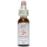 ミムラス（勇気）の商品画像