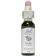 ホリー（好意）の商品画像