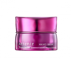 プリマモイスト ナイトクリームの商品画像