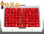 「大粒さくらんぼ山形産佐藤錦１ｋｇ（アドオフィスブロードビーンズ　まめ印屋）」の商品画像