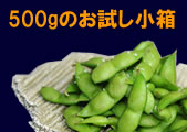「二十六夜のだだちゃ豆５００ｇ（アドオフィスブロードビーンズ　まめ印屋）」の商品画像