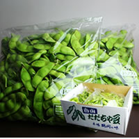 「本場鶴岡産だだちゃ豆（晩生おうら）1kg(500g&times;2袋）（アドオフィスブロードビーンズ　まめ印屋）」の商品画像