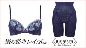 「ウイング「後ろ姿キレイブラ」＆「ハミデンヌ（おなかキレイパンツ」（株式会社ワコール）」の商品画像
