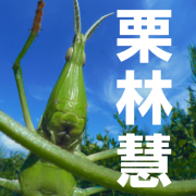 栗林慧の世界の口コミ（クチコミ）情報の商品写真
