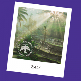 「フレグランスメモリーズ　BALI RAIN（株式会社日本香堂）」の商品画像の3枚目