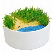 「【日比谷花壇】ジオラマコレクション「ビーチ」（株式会社日比谷花壇）」の商品画像