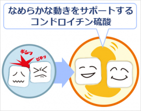 「コンドロイチンA ＋リカバリー酵母　240粒（202512013）」の商品画像の3枚目