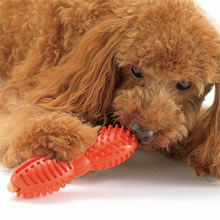 「リッチェル　犬用 &ldquo;知遊玩具&rdquo; ビジーバディ（株式会社リッチェル）」の商品画像の4枚目