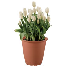 「リッチェル ネバール プランター（株式会社リッチェル）」の商品画像の3枚目