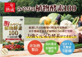 二年熟成みやびの植物酵素100の商品画像