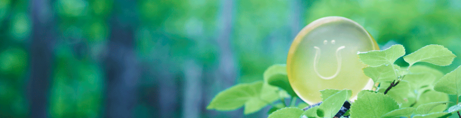 ラウラ（RAURA）　三高販売株式会社のヘッダー画像