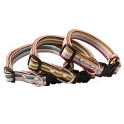 サニーストライプカラーの商品画像