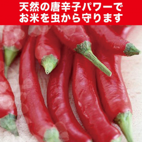 「米唐番/米唐番 無洗米用（エステー株式会社）」の商品画像の3枚目