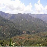 「コスタリカ　カンデリージャ（AROMAS COFFEE MARKET）」の商品画像