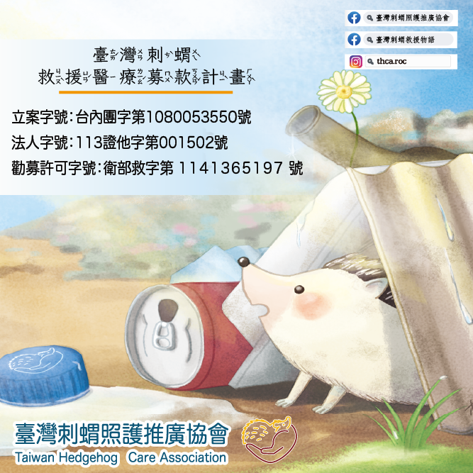 臺灣刺蝟救援醫療募款計畫