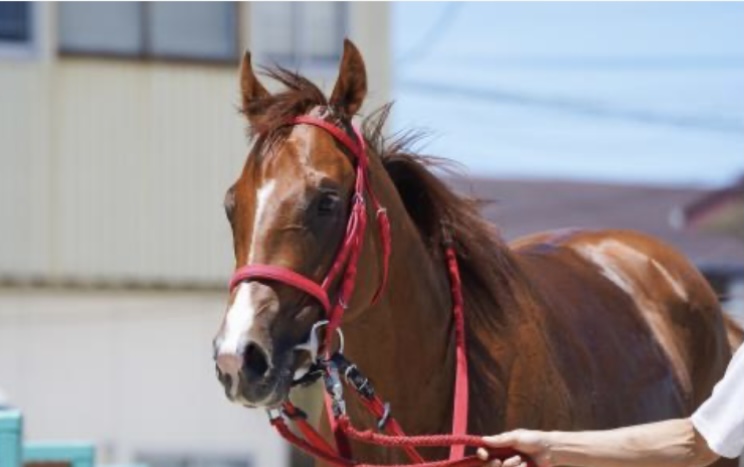 アズグレーター