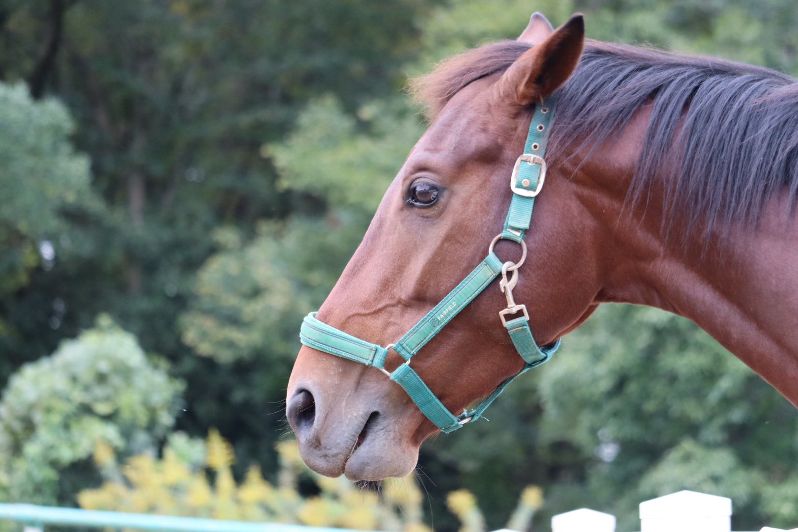 アキラ　リタッチ