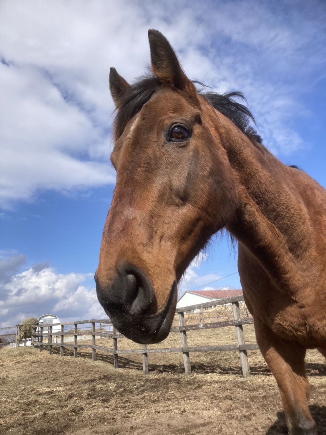 サンツェッペリン