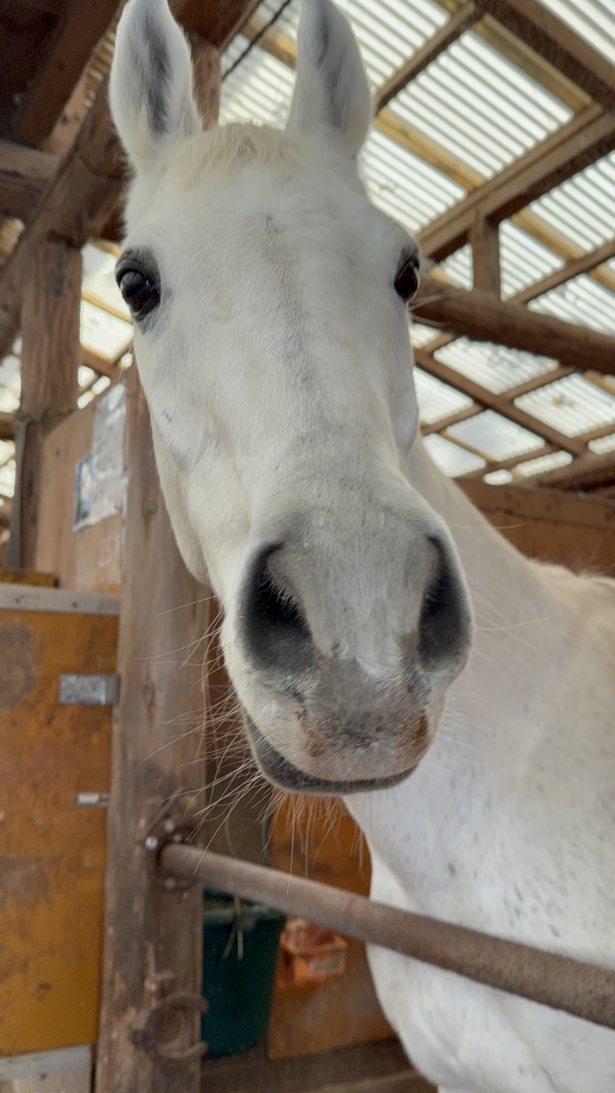 ユノブライトン