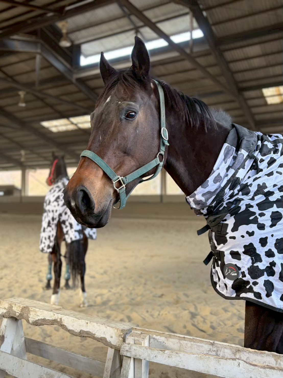 サクラリタッチ