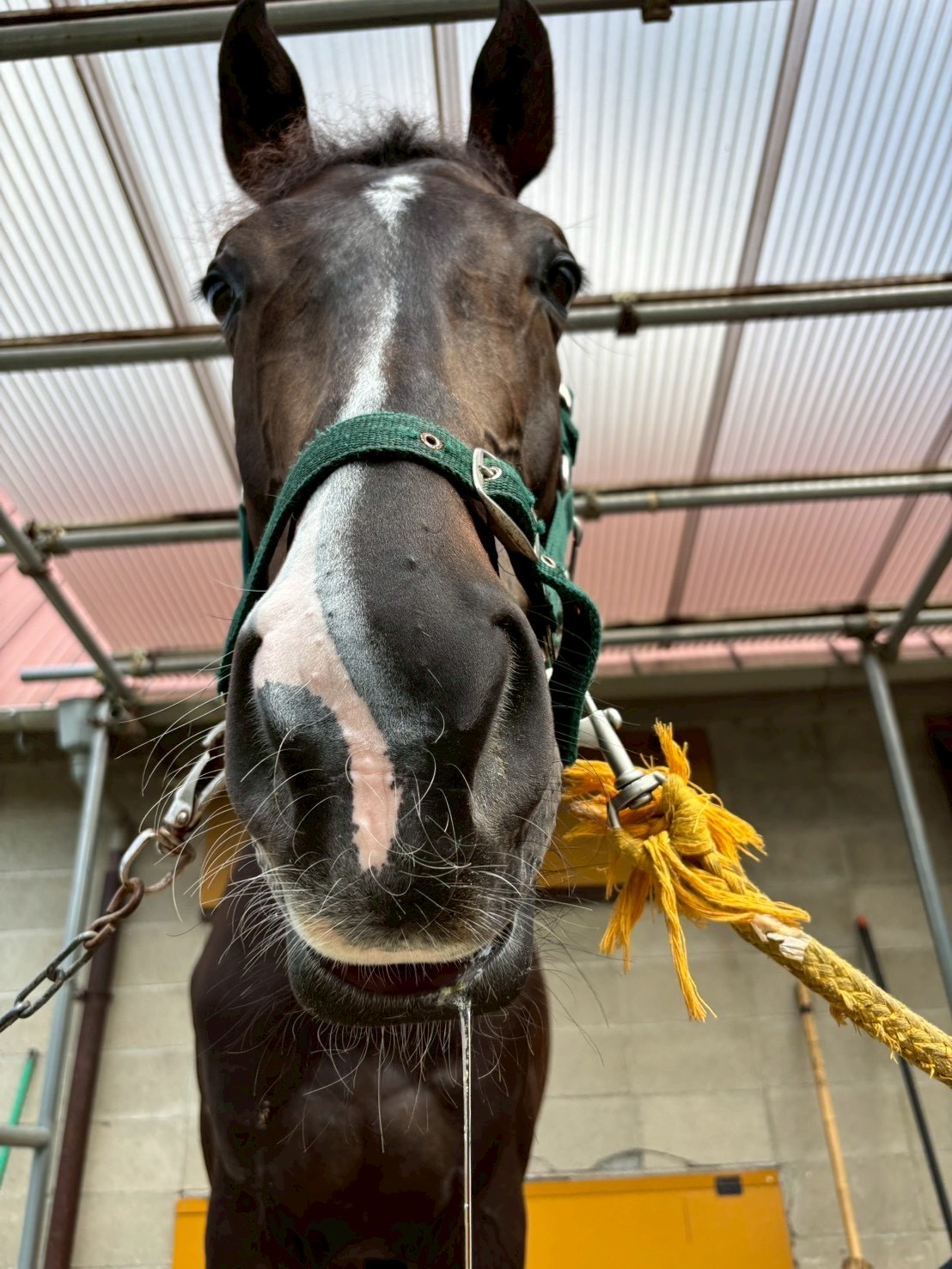 ノーブルアリーナ