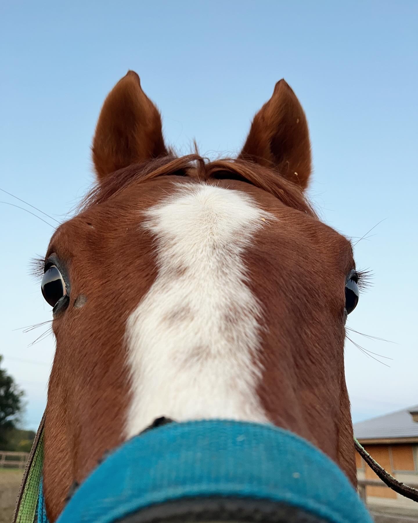 ノッキングポイント