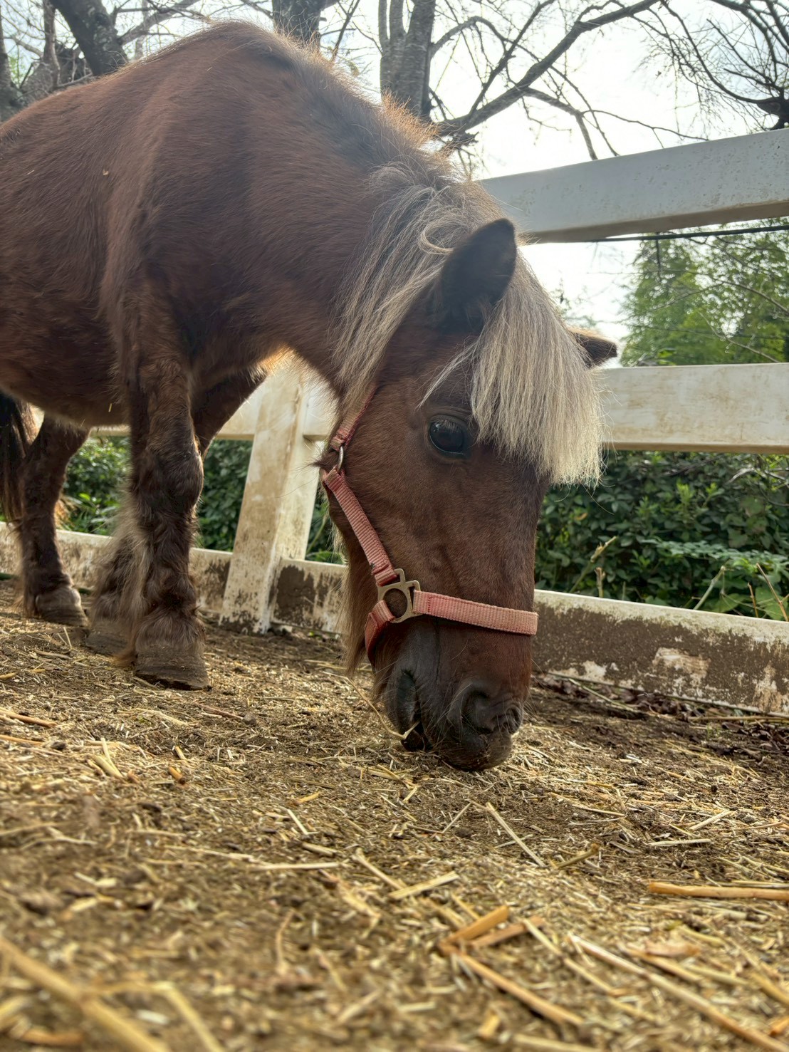 クラグラ　リタッチ