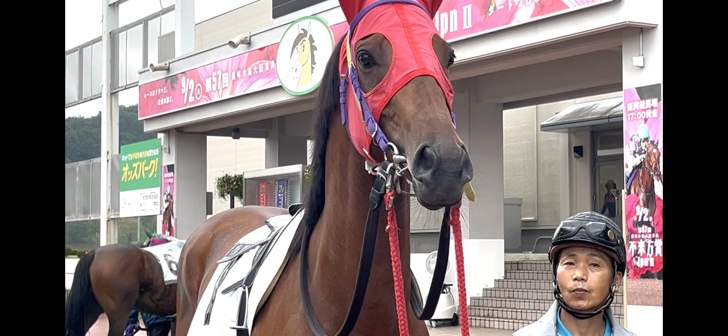 サンドフィッシュ