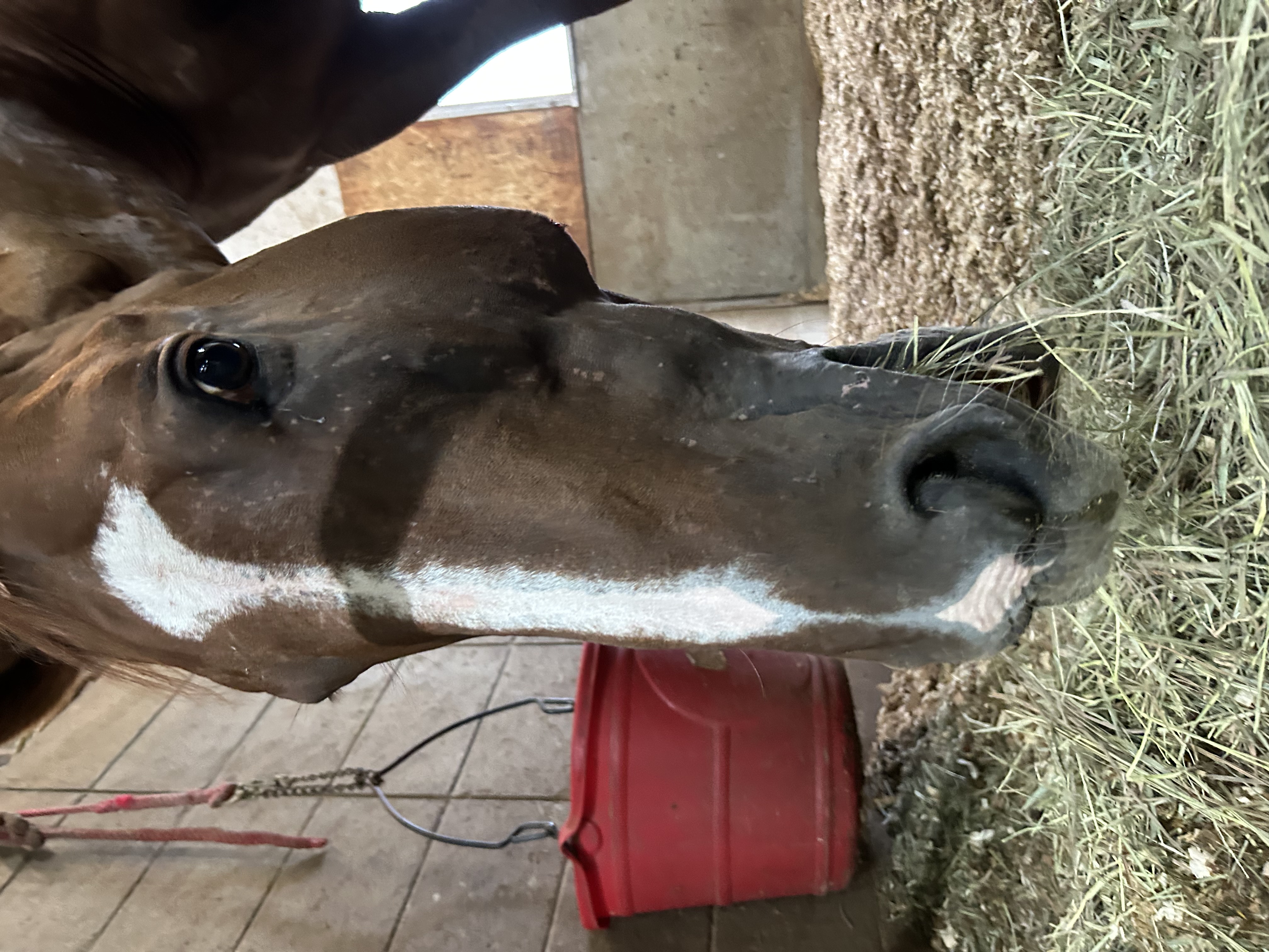 オンザフェーヴル