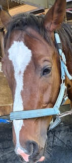 クオンタムゲート