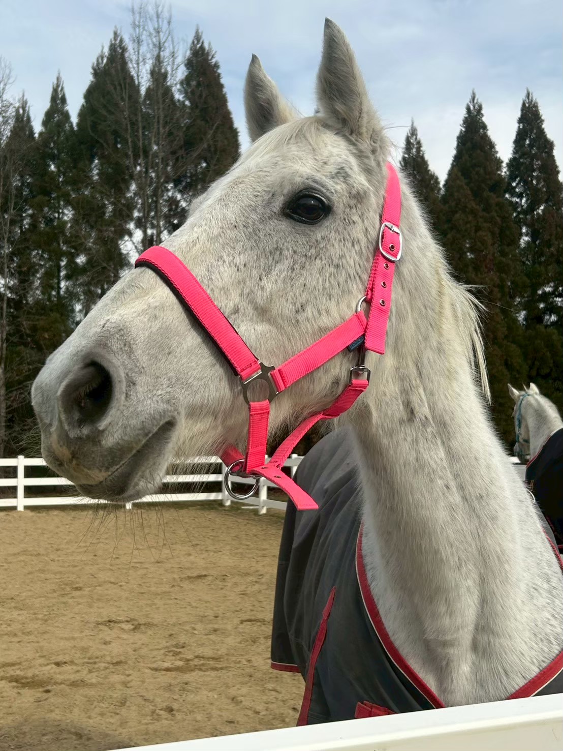 ミラーダリタッチ