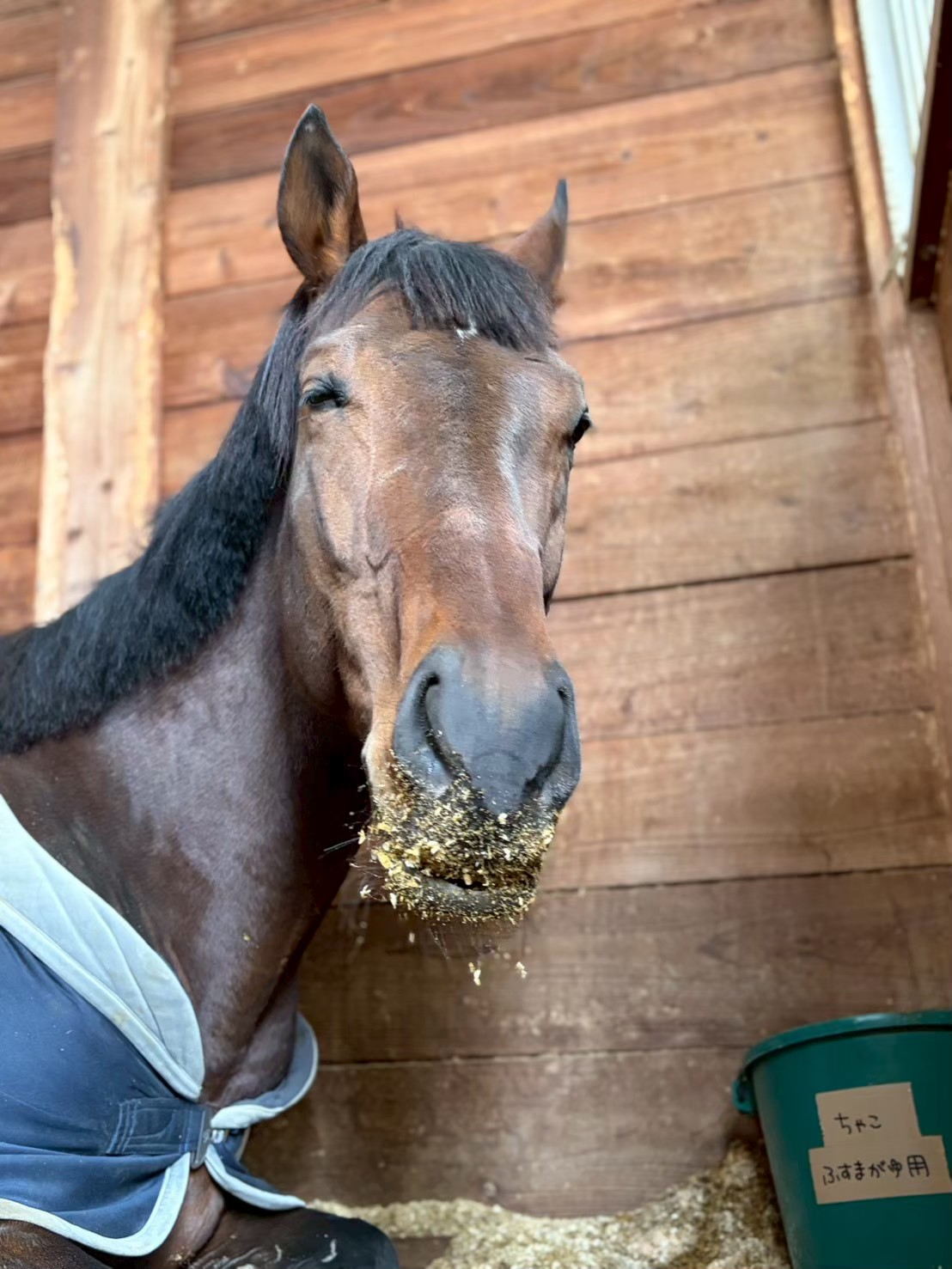 エトワールリタッチ