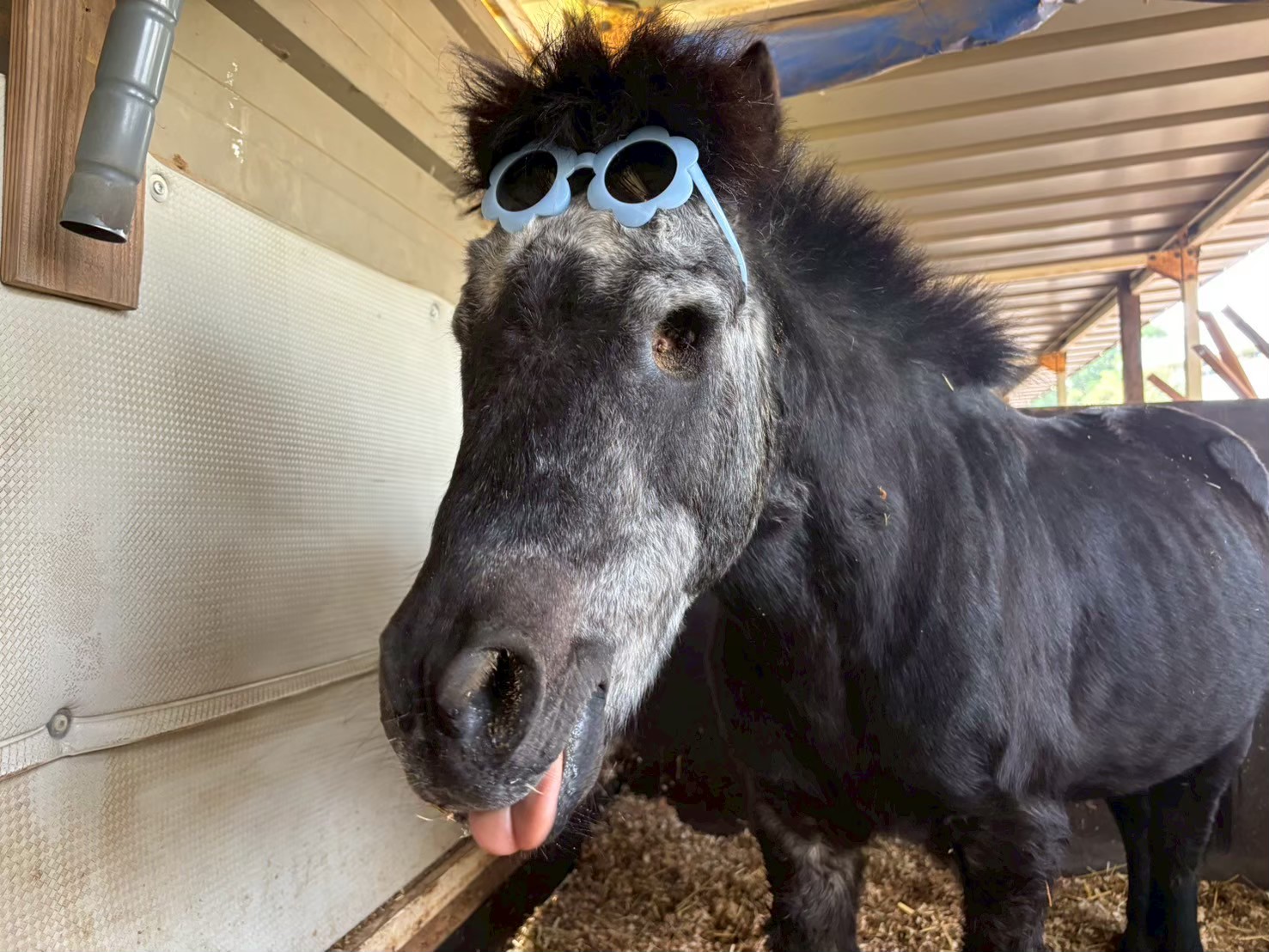 ガンガン　リタッチ