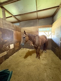 エターナルウインド