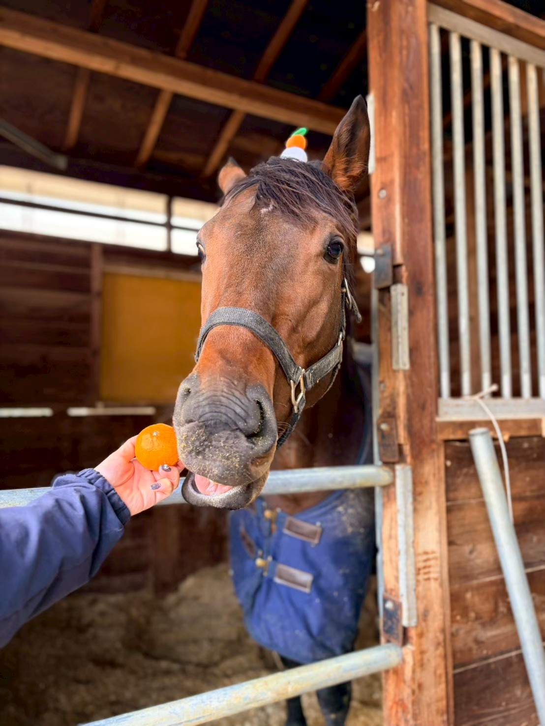 エトワールリタッチ