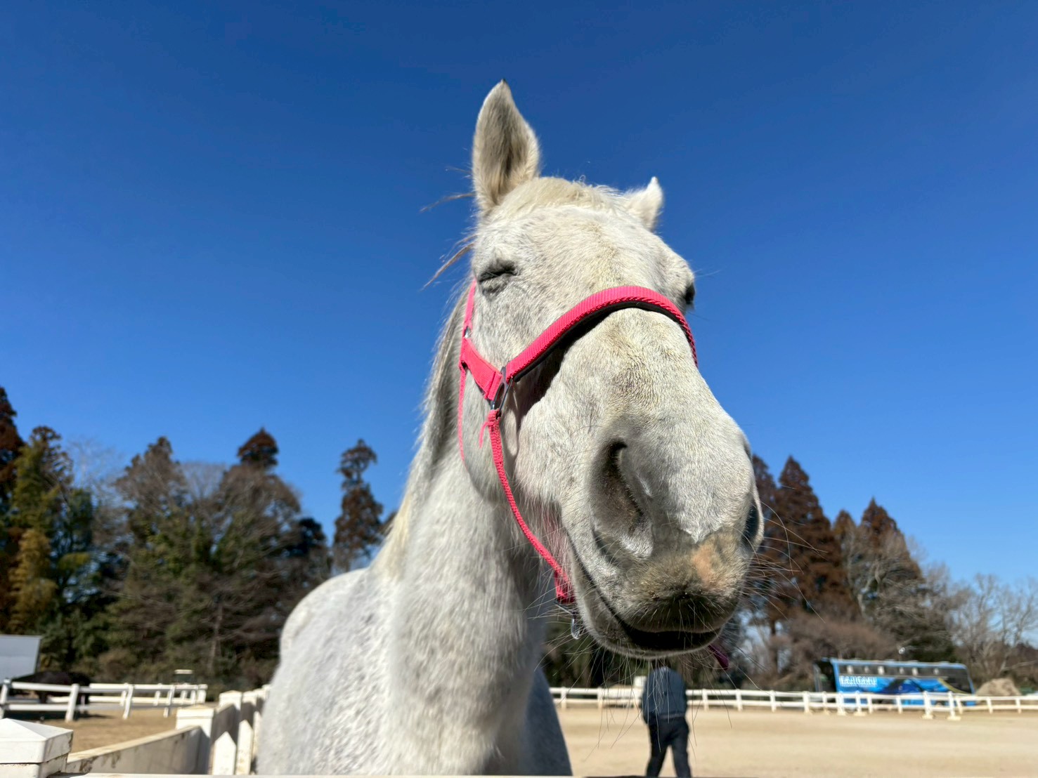 ミラーダリタッチ